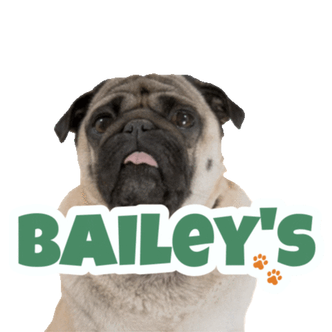 Pets Tuesday Sticker by Bailey's CBD