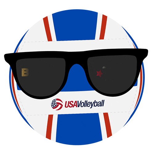 Beach Life Sticker by USA Volleyball