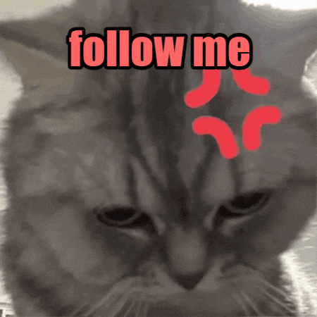 Follow Me Please GIF