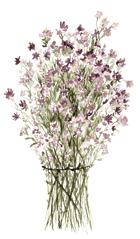 INAsTEA Sticker