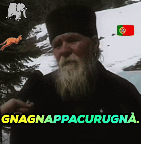 Elephants Never Forget GIF