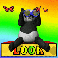Looking Look Around GIF