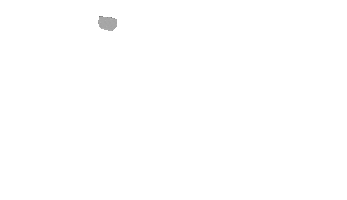 OXI Instruments Sticker