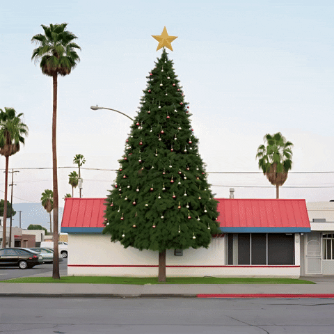 echo_echo_studio christmas holidays ai california GIF