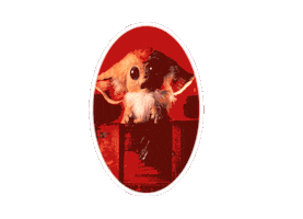 Rovazzi Sticker