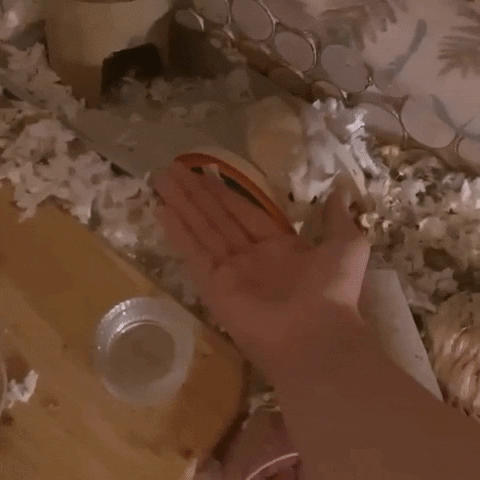 Pets Fail GIF by Storyful