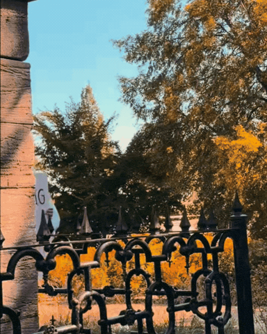 Telling New News GIF by Brach's