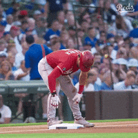 Tommy Pham Sticker - Tommy Pham Tampa - Discover & Share GIFs