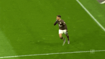 Sankt Pauli Fcsp GIF by FC St. Pauli