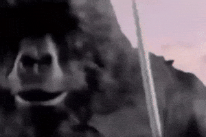 King Kong Gorilla GIF