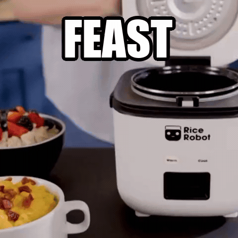 The whole spread | Rice Robot