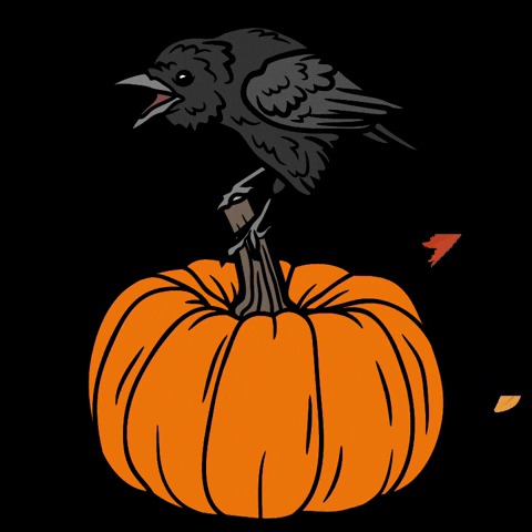 GiftsFromCrows fall spooky autumn pumpkin GIF