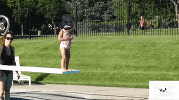 Summer Time GIF