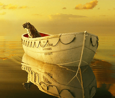 life of pi