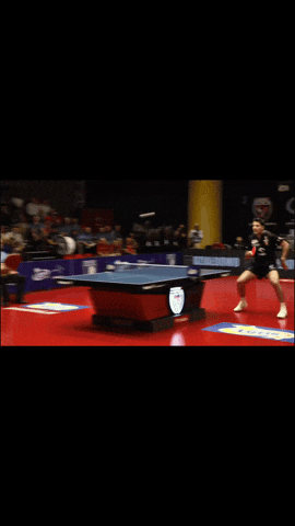 Happy Table Tennis GIF