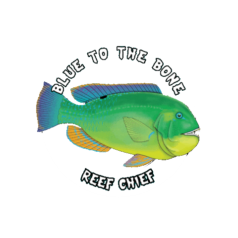 Reef Chief Sticker by Reef Chief Australia