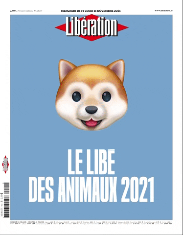 GIF by Libération