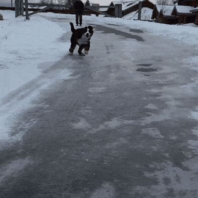 snow sliding GIF