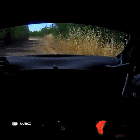 Wrc GIF by FIA World Rally Championship