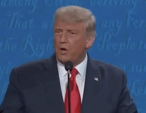Donald Trump GIF