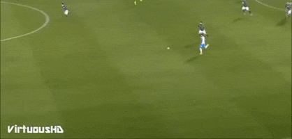 FLC  GIF