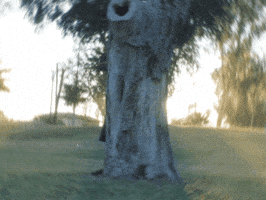 Looking Out Music Video GIF by Gorisma