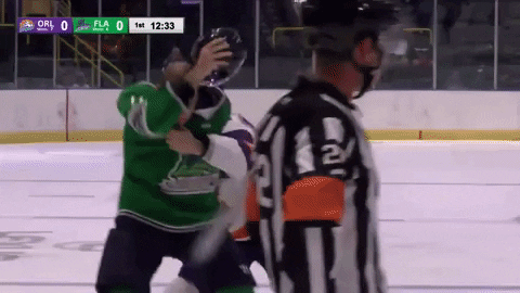 Hockey-fight GIFs - Get the best GIF on GIPHY