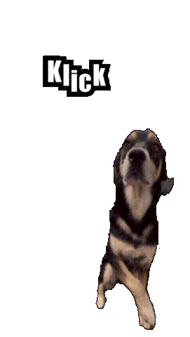 Dog Story Sticker