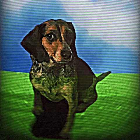 Molly Liminal Space GIF