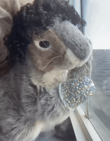 Squirrel Nibs GIF