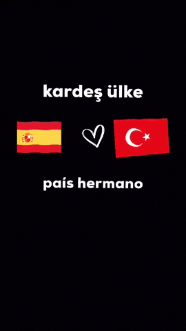 Kardeş Ülke GIF