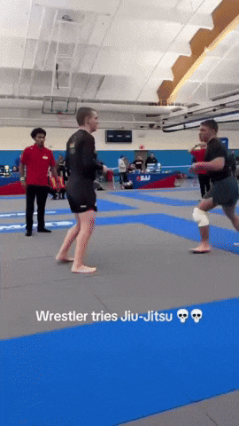 Wrestling Bjj GIF