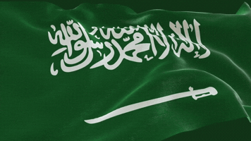 Saudi Arabia GIF