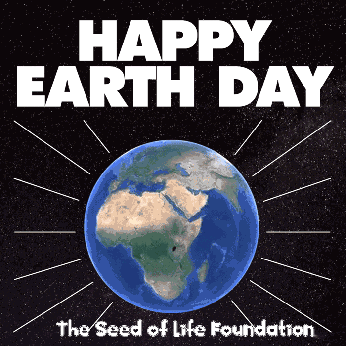 Happy Day GIF by The Seed of Life Foundation
