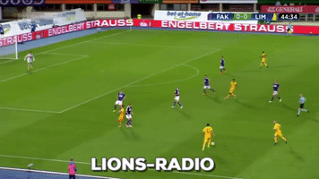 lions-radio  GIF