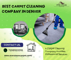 Best Carpet Cleaning Company In Denver GIF