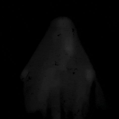 Halloween Haunting GIF by PBS Digital Studios