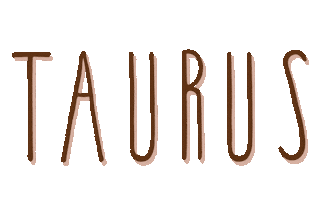 Stars Zodiac Sticker