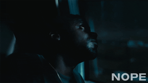 giphy.gif?cid=6c09b9526vc6hwswh6etmwk3kg