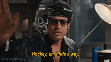 Chicago Blackhawks Hockey GIF
