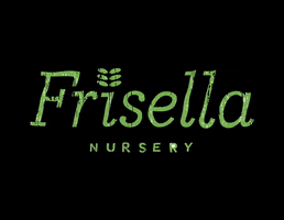 Plants Frisella GIF by frisellanursery