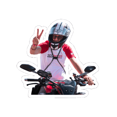 DucatiMotorHoldingMedia Sticker