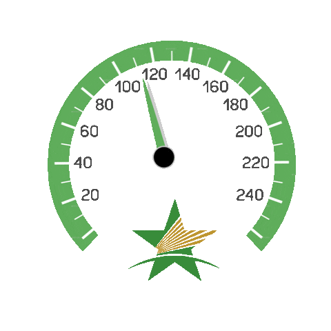 Greenstar Insurance Agency Sticker