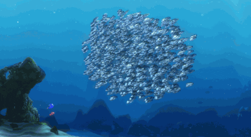 finding-nemo-pixar-gif-gif-by-disney-pixar-find-share-on-giphy