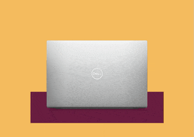 Laptop Security GIF by Dell Technologies
