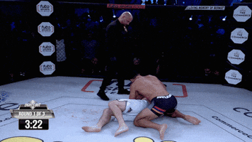 lightsoutxf mma punch fighting fighter GIF