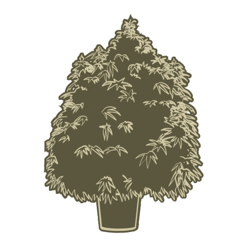 Greybeard Canada Sticker