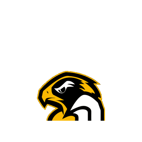 Münster Blackhawks Sticker