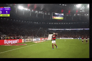 Flamengo GIF