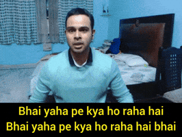 Whats Happening What GIF